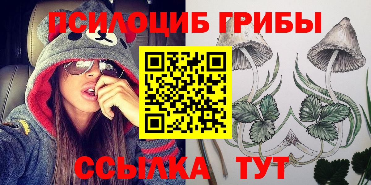Псилоцибиновые грибы Psilocybe Вязники