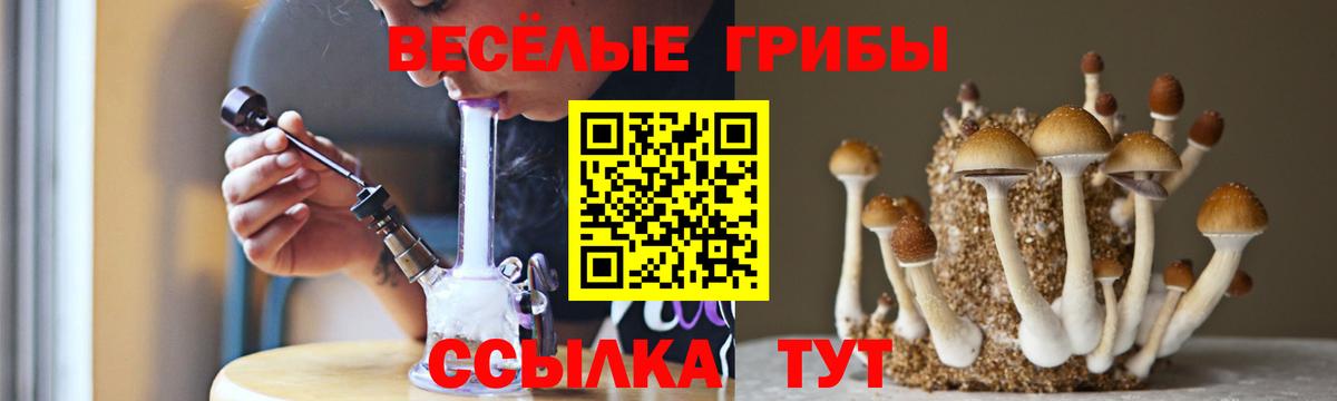 купить   Вход с VPN  Вязники  Галлюциногенные грибы Cubensis 